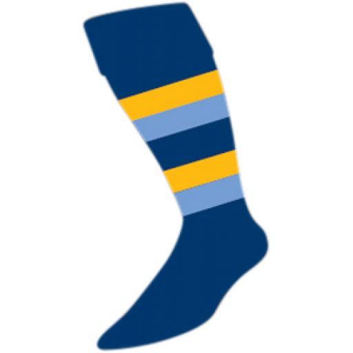 wc-rugbysock_300px.jpg