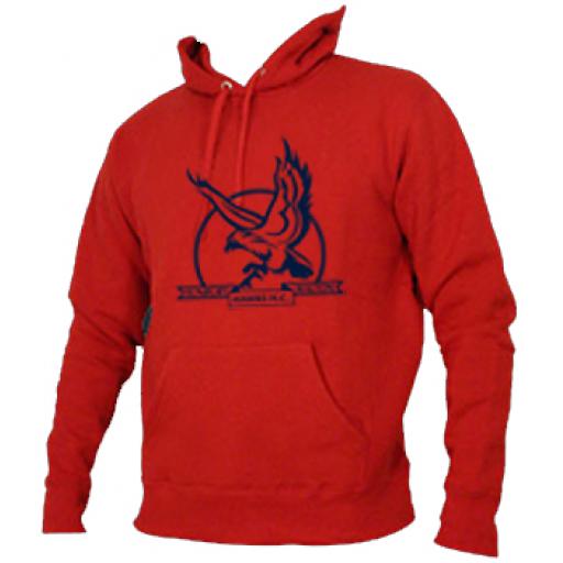 Sunbury & Walton Hawks HC Hoody Junior