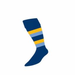 wcgs-sock1.jpg