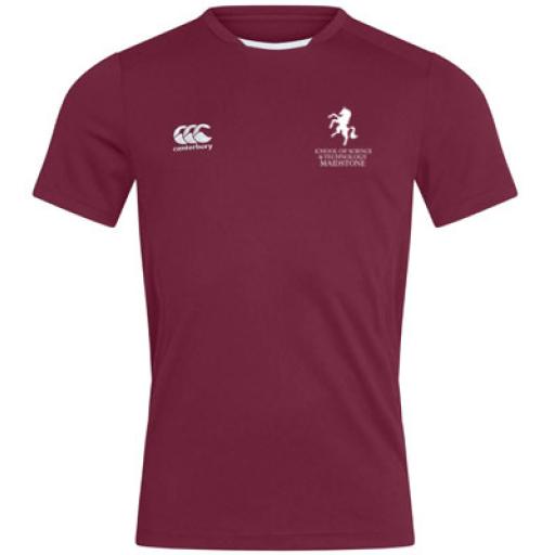 VIAT School of Science & Technology KS4/KS5 Dry T-Shirt (maroon)