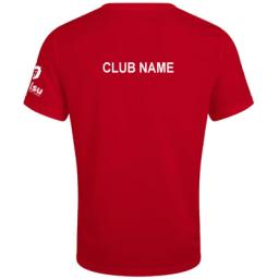 kcl-dryT-redB.jpg