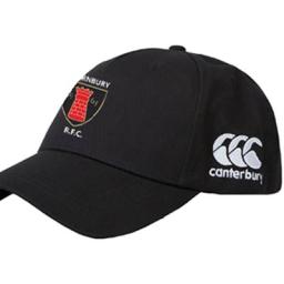 ty-cap1.jpg