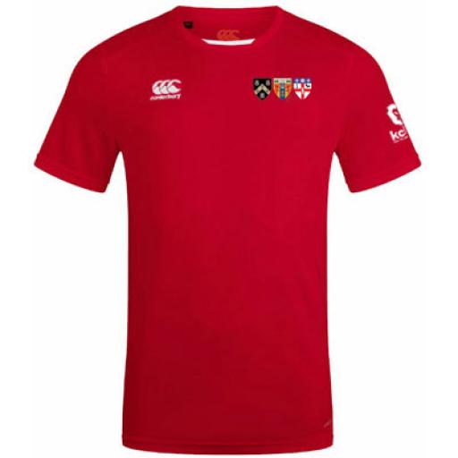 gkt-dryT-red.jpg