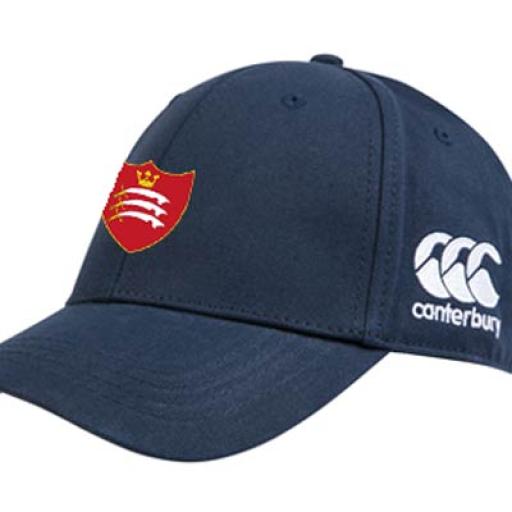 mdx-cap1.jpg