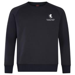 VIAT Sweatshirt.png