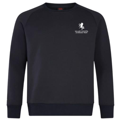 VIAT Sweatshirt.png