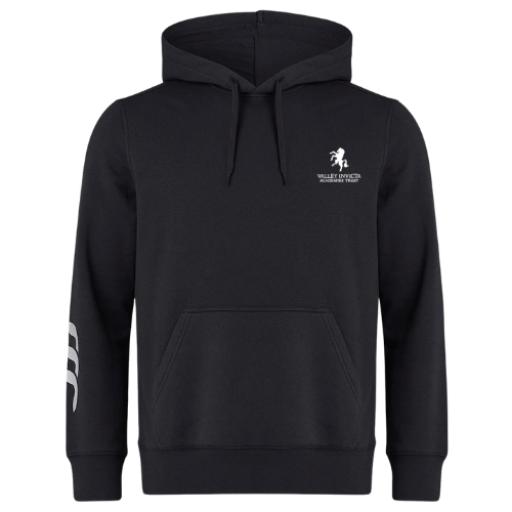 VIAT hoody.png